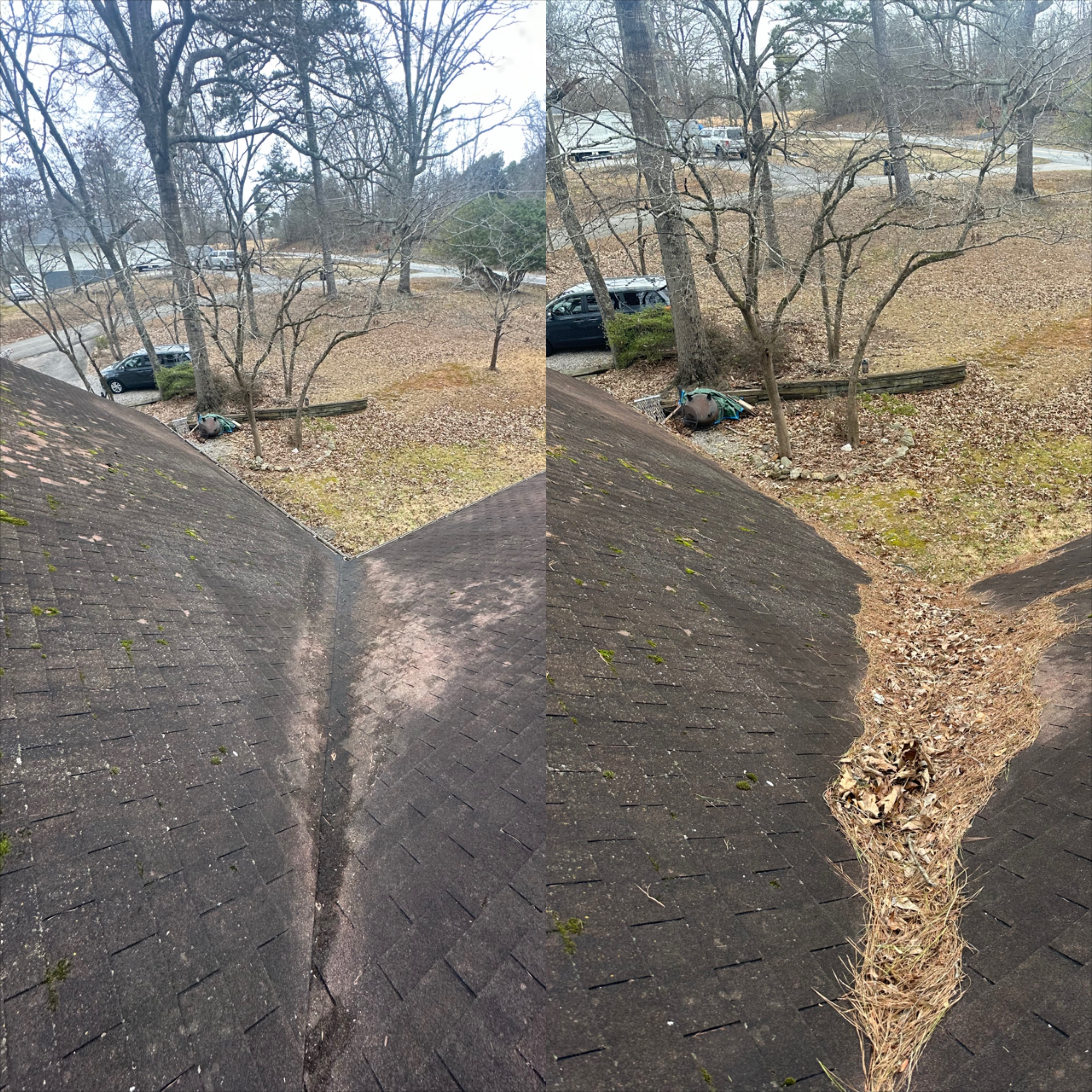 Gutter & Drain Cleaning