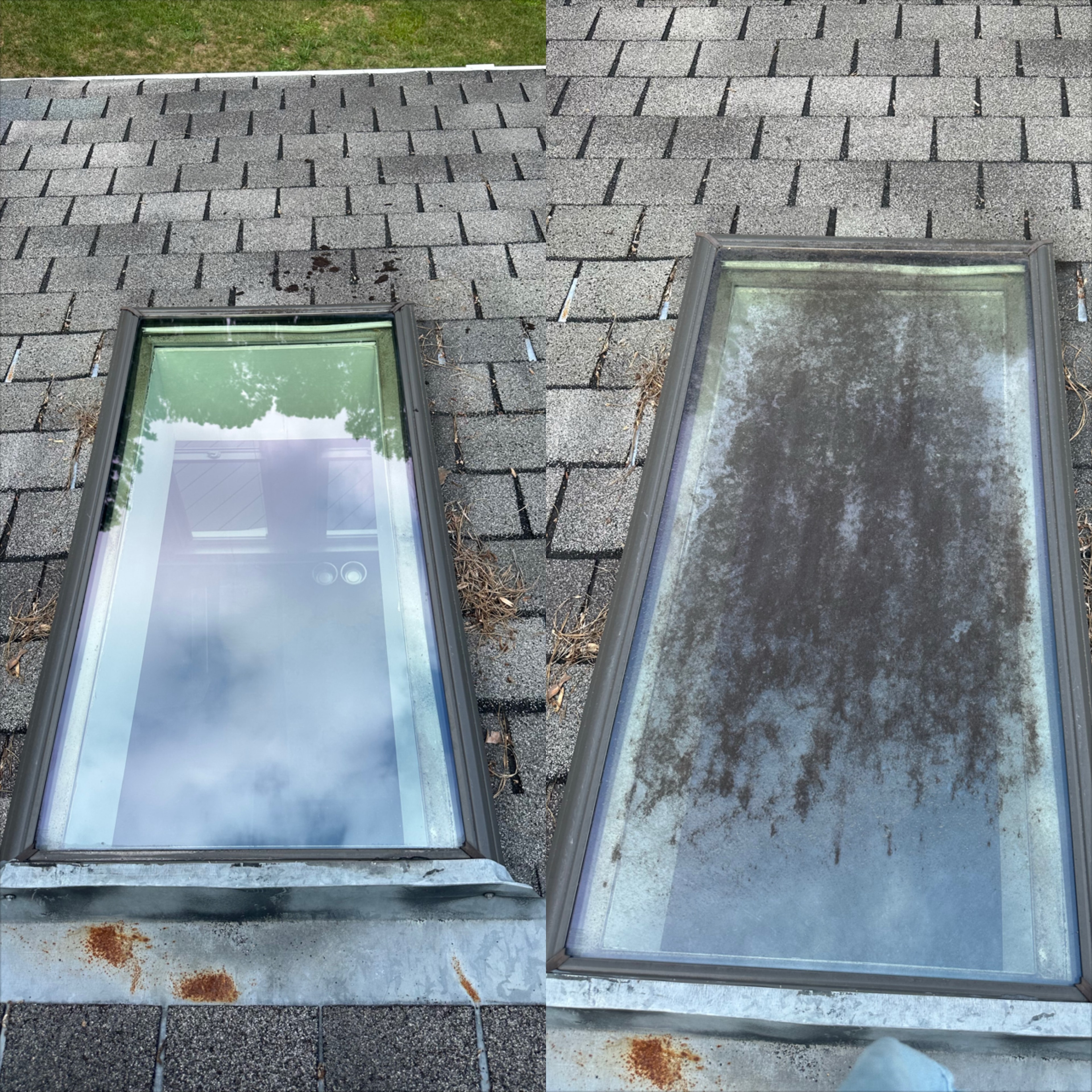 Commercial Window Cleaning